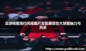结论